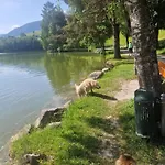 Am Muehlrain Saalfelden
