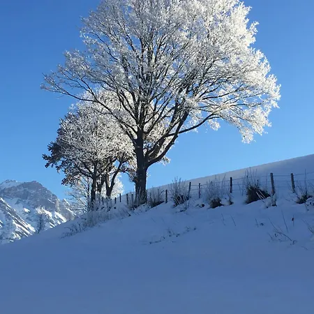 Am Mühlrain * Saalfelden