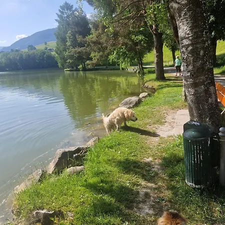 Am Muehlrain Saalfelden