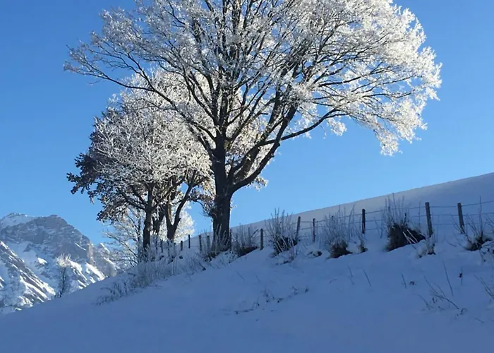 Am Muehlrain * Saalfelden